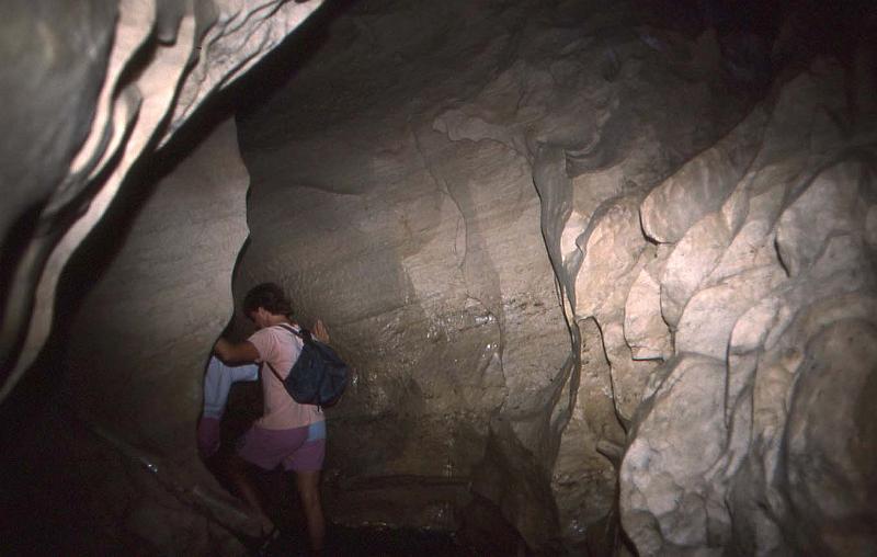 WT 0200 036-04 New Zealand.jpg